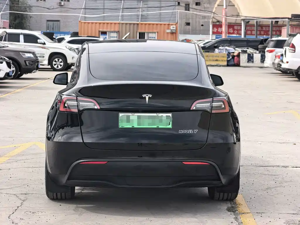 Tesla Model Y — миниатюра 8