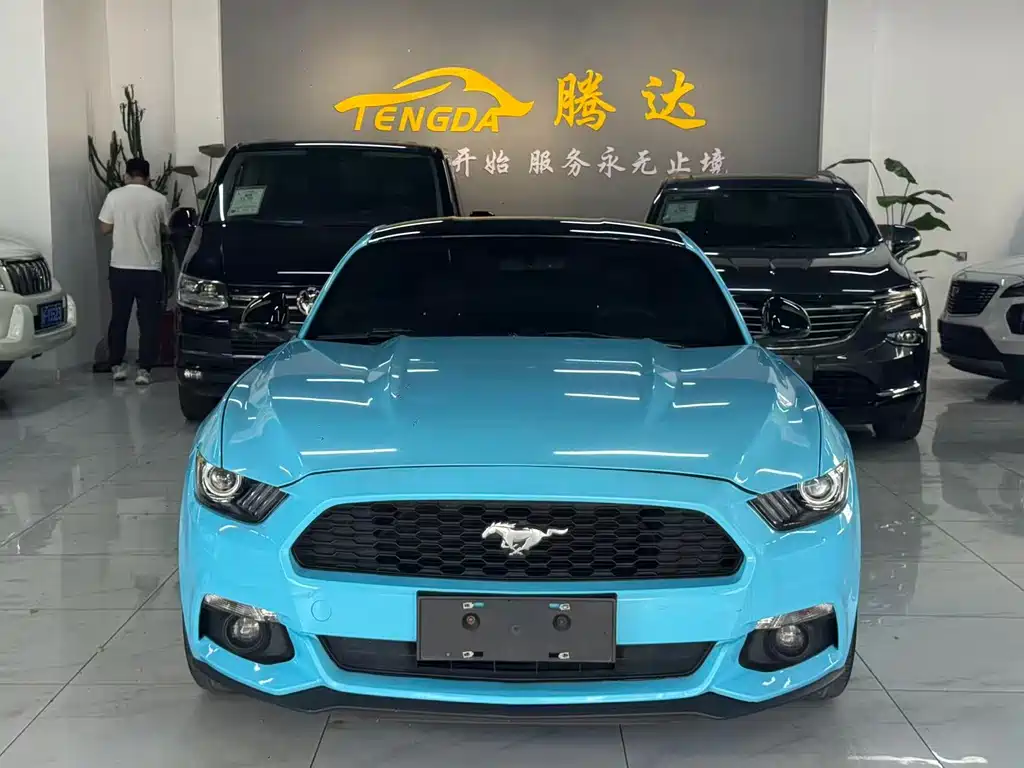 Ford Mustang — миниатюра 2