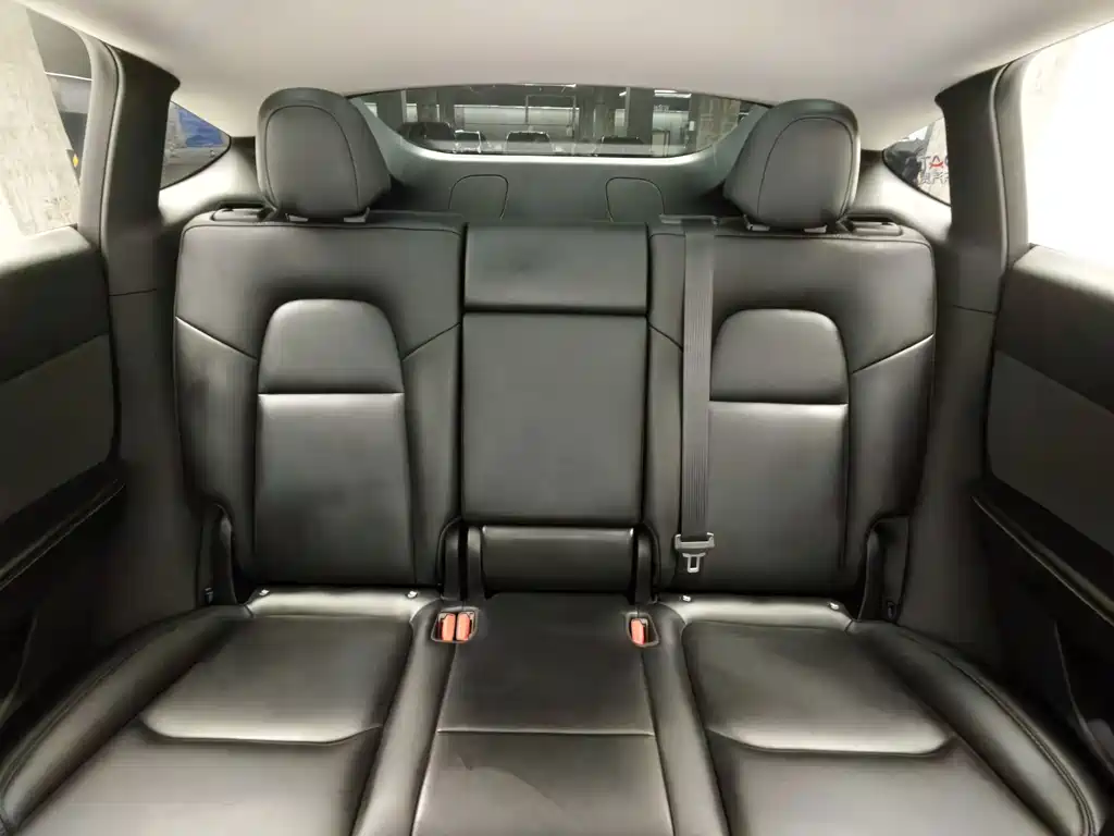 Tesla Model Y — миниатюра 15