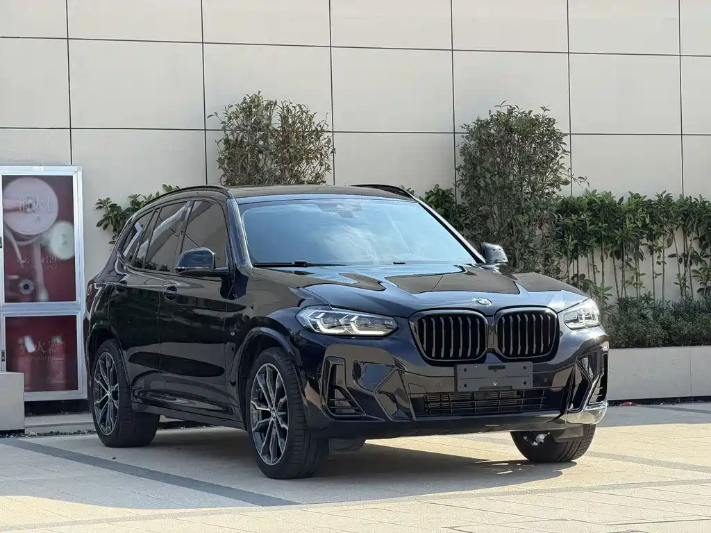 BMW X3 — миниатюра 3
