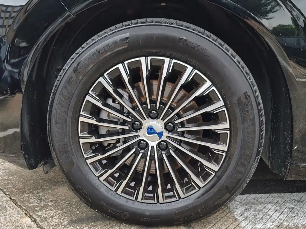 Denza Denza D9 — миниатюра 10