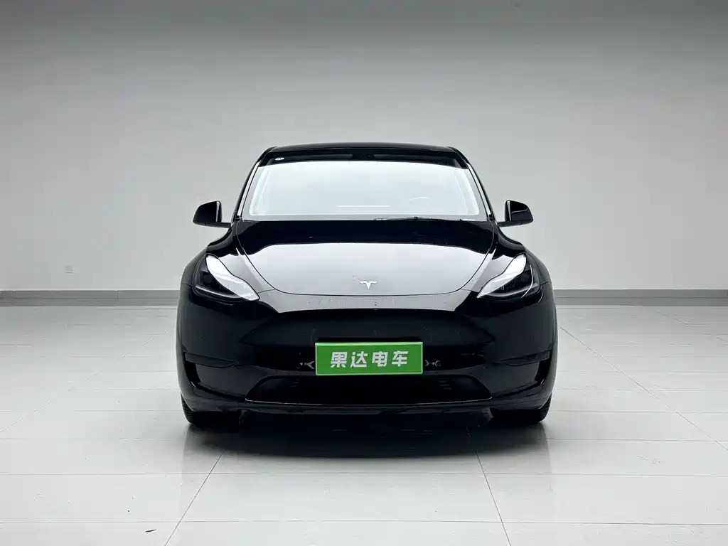 Tesla Model Y — миниатюра 2