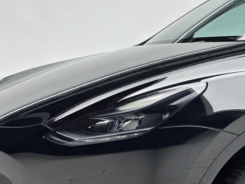 Tesla Model Y — миниатюра 15
