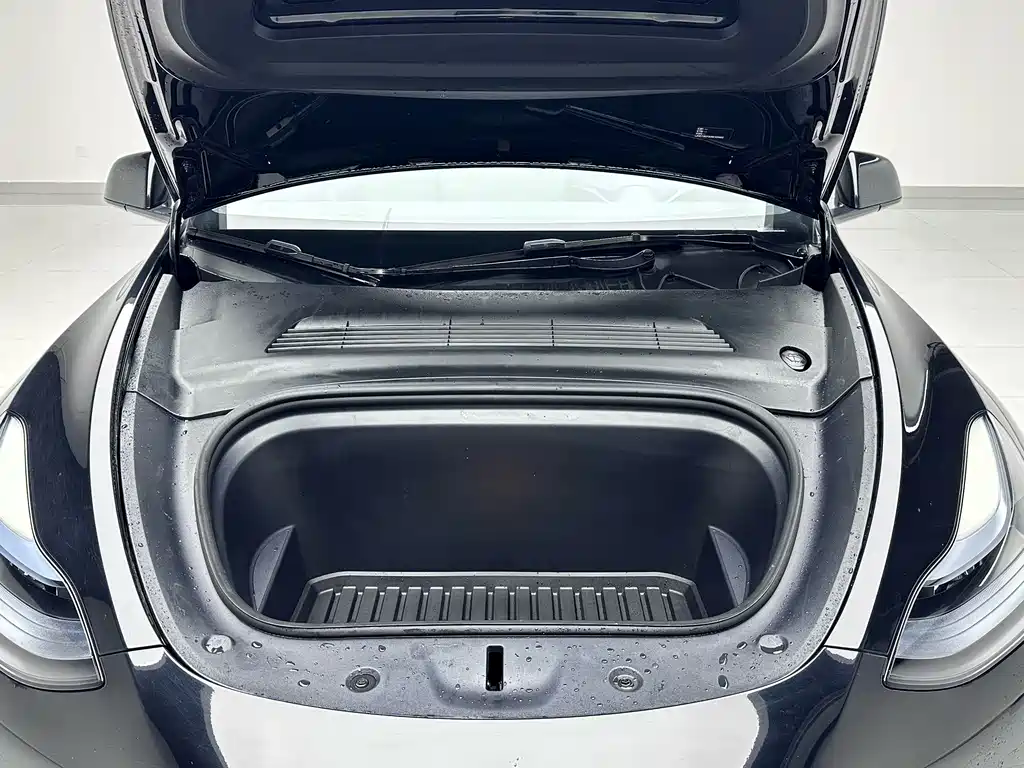 Tesla Model Y — миниатюра 19