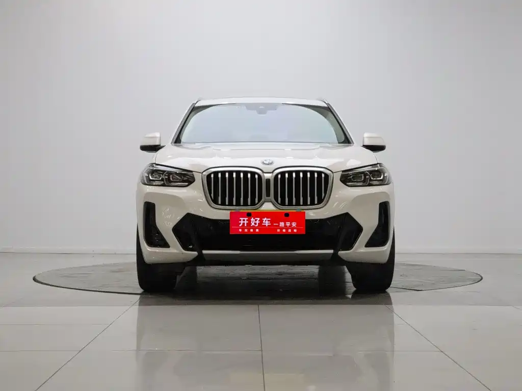 BMW X3 — миниатюра 2