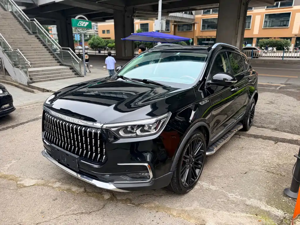 Leopaard Mattu