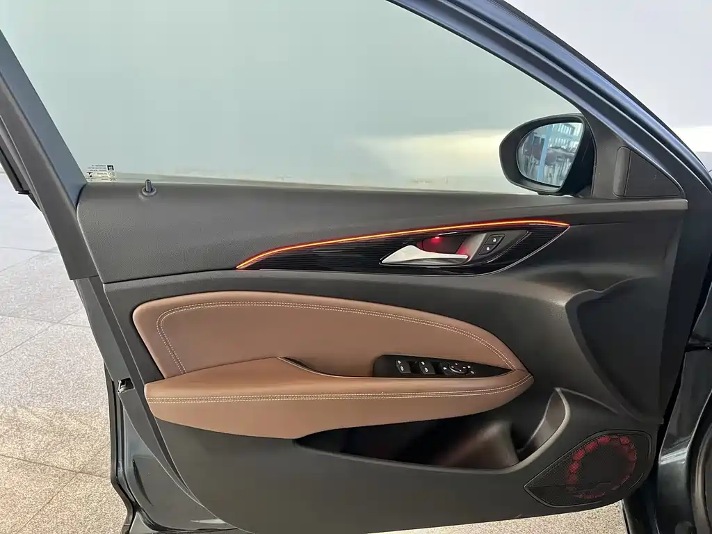 Buick Regal — миниатюра 12