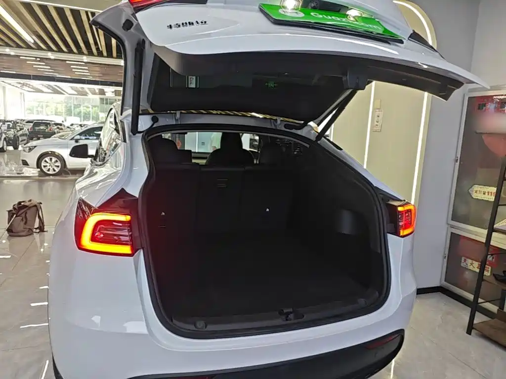Tesla Model Y — миниатюра 19