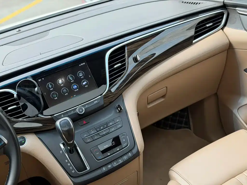 Buick GL8 — миниатюра 14
