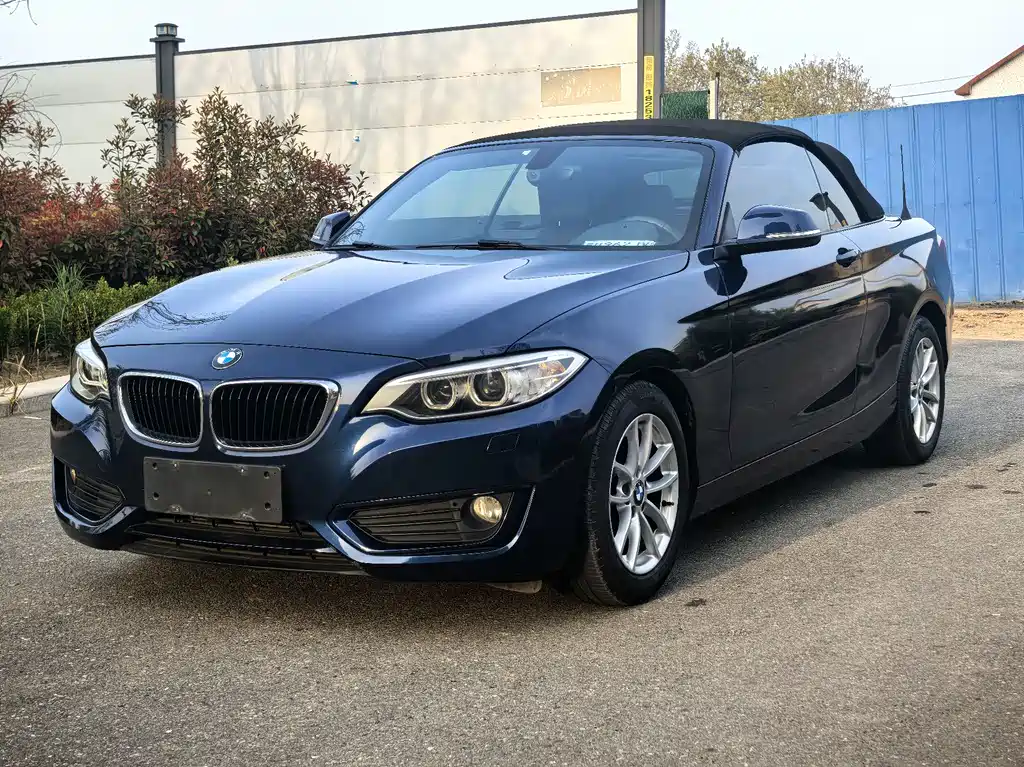 BMW 2 Series (Import) 2016
