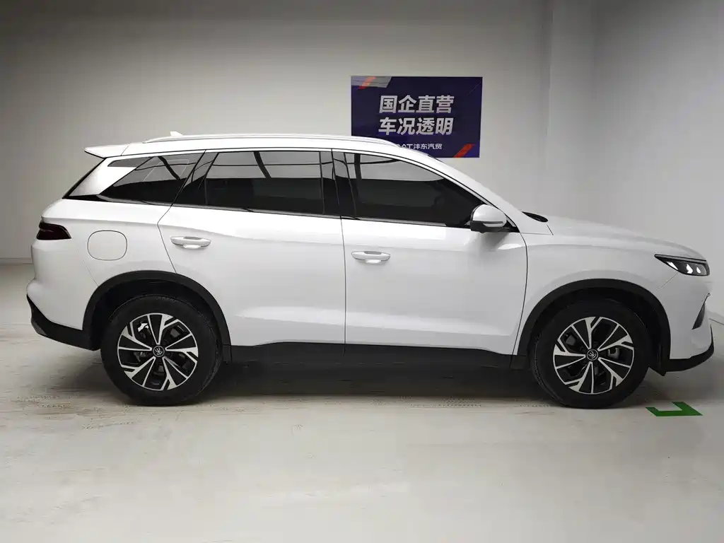 BYD Pro New Energy — миниатюра 7
