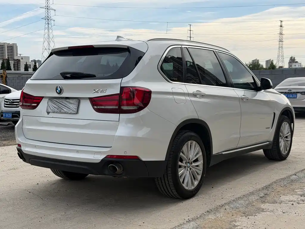 BMW X5 (Import) — миниатюра 5