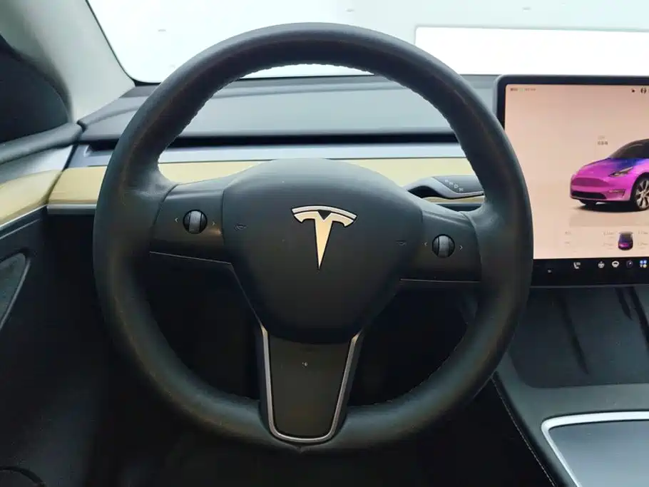 Tesla Model Y — миниатюра 15