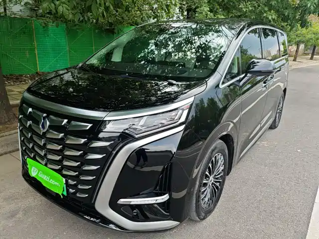 2024 Denza D9