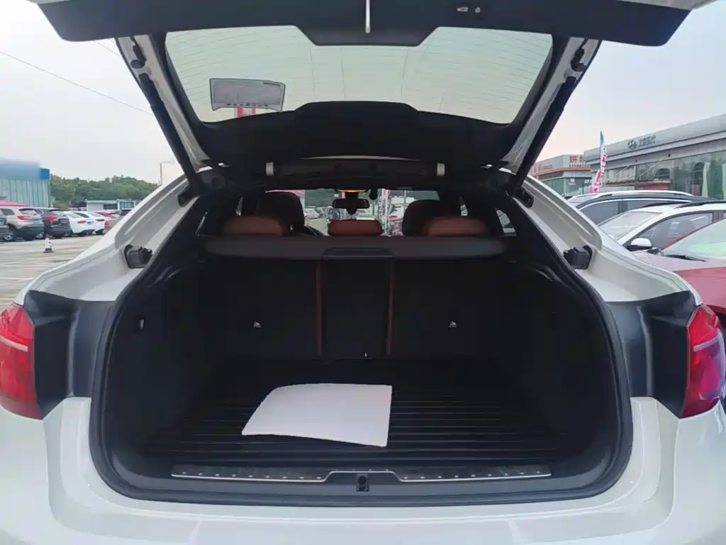BMW X6 — миниатюра 19
