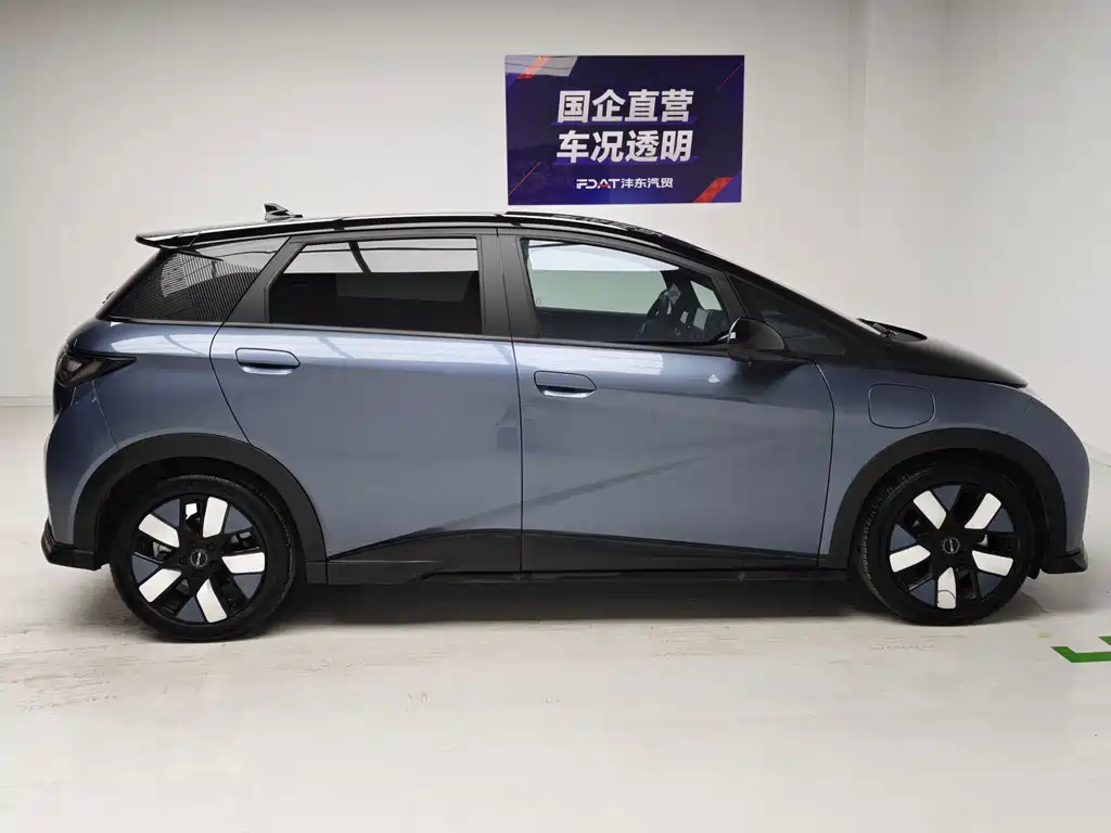 BYD Dolphin — миниатюра 7