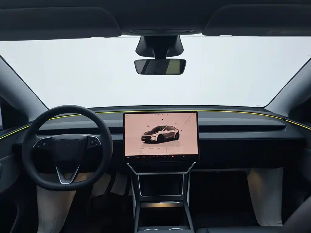 Tesla Model Y — миниатюра 18