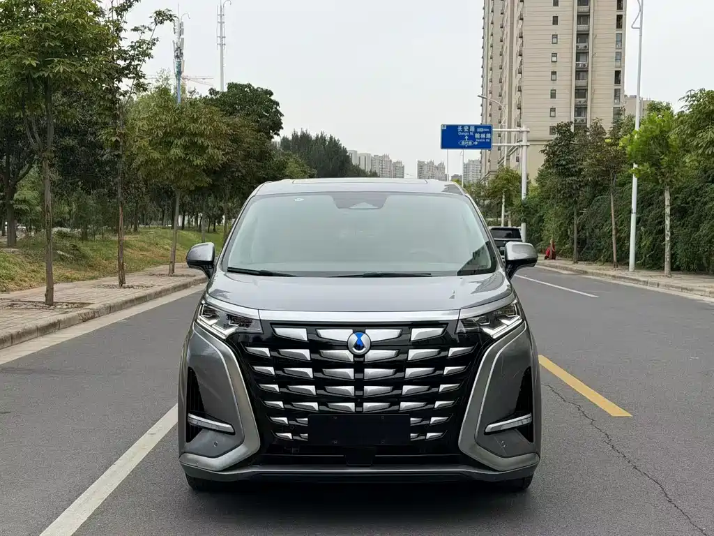 Denza Denza D9 — миниатюра 2