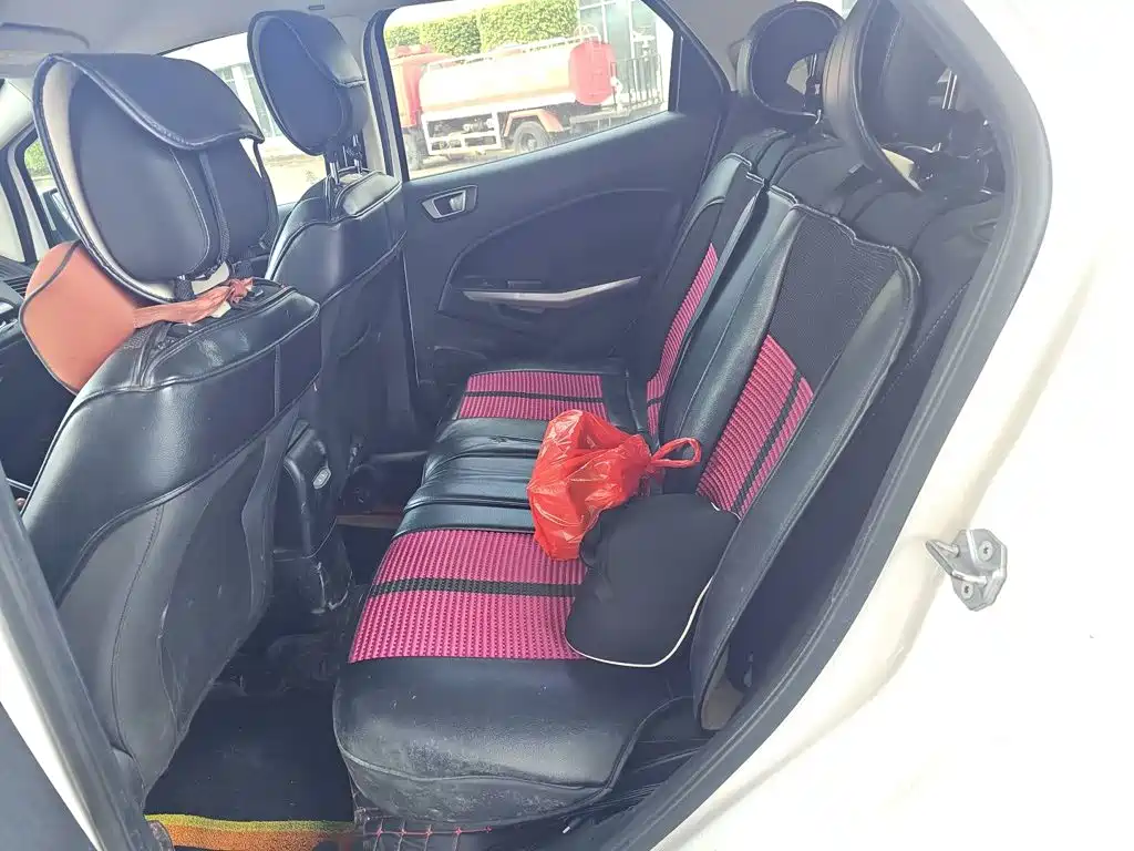 Ford Ecosport — миниатюра 13