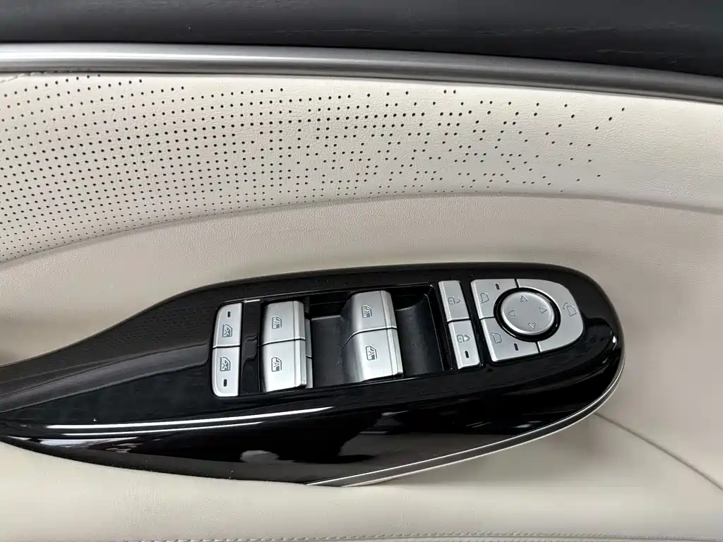 Denza Denza D9 — миниатюра 12
