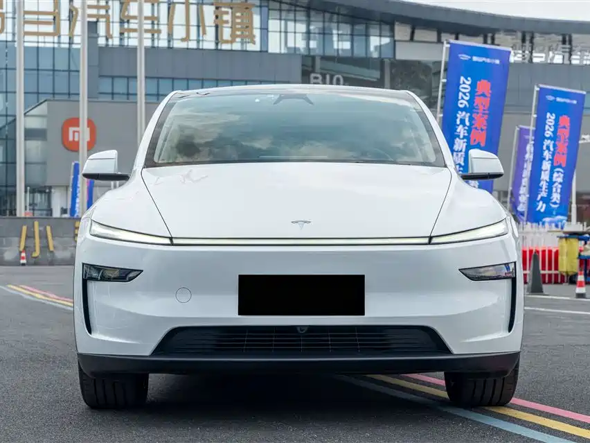 Tesla Model Y — миниатюра 2