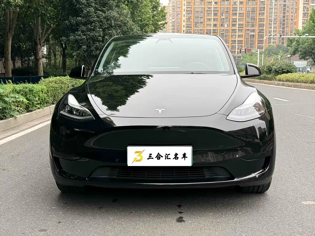 Tesla Model Y — миниатюра 2