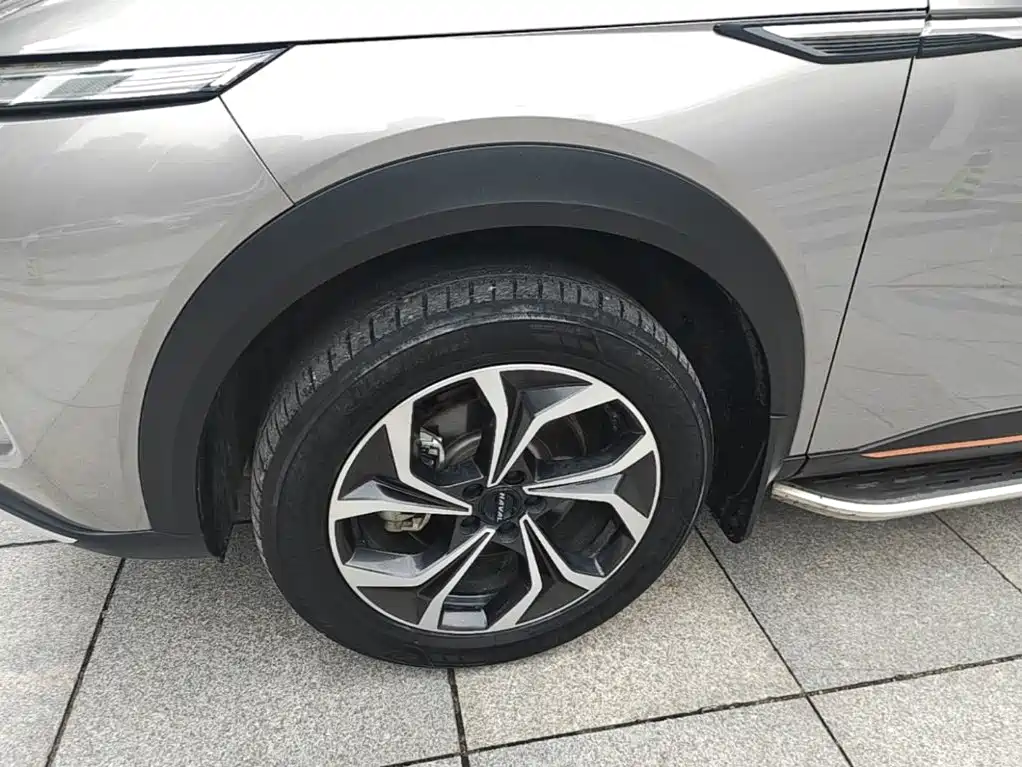 Haval Shenshou — миниатюра 23