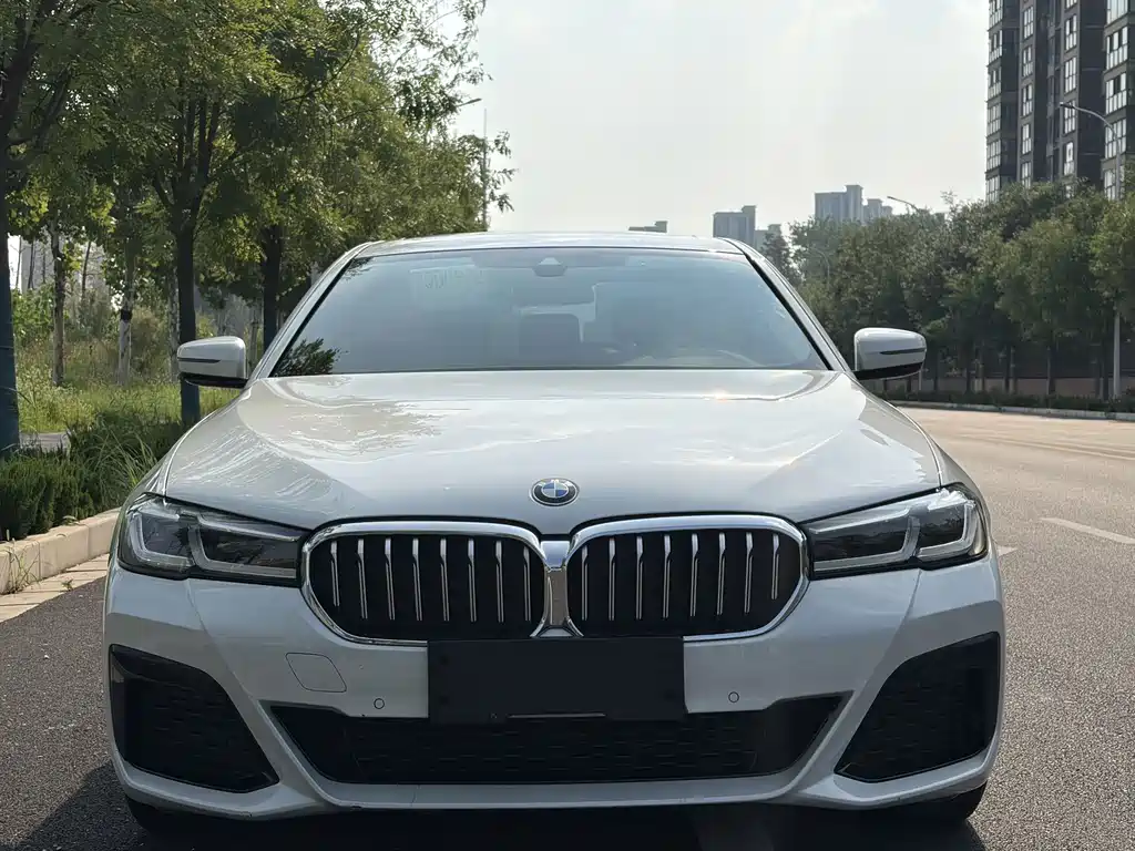 BMW 5 Series — миниатюра 15
