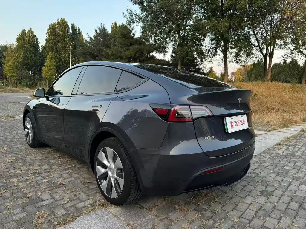 Tesla Model Y — миниатюра 21