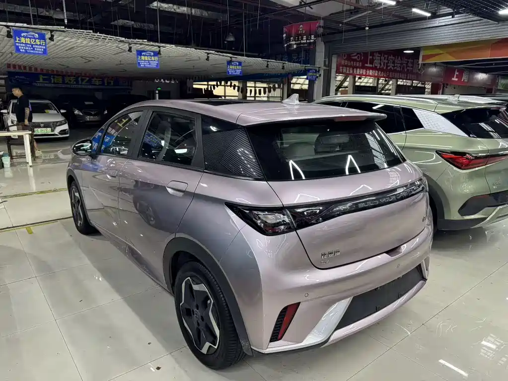 BYD Dolphin — миниатюра 10