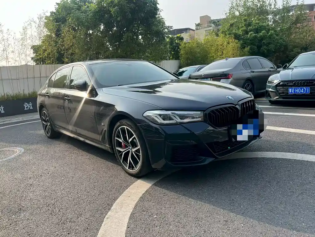 BMW 5 Series — миниатюра 3