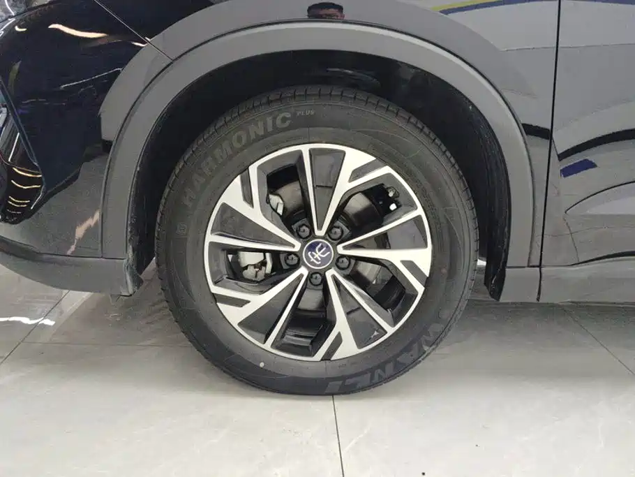 BYD Pro New Energy — миниатюра 6