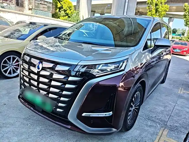 2023 Denza D9