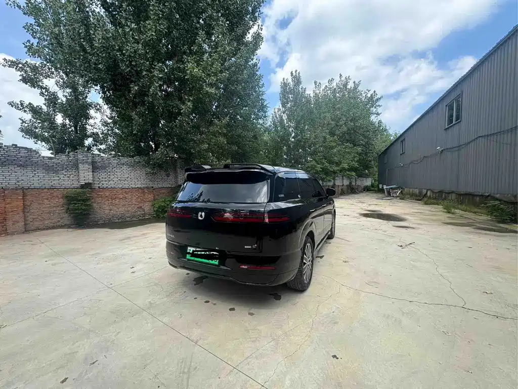 Denza Zoom N8L — миниатюра 7