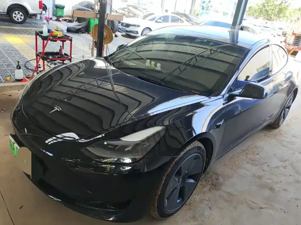 Tesla Model 3 2021