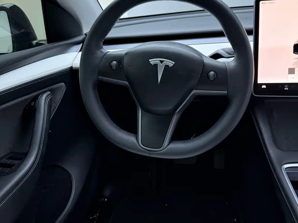 Tesla Model Y — миниатюра 12