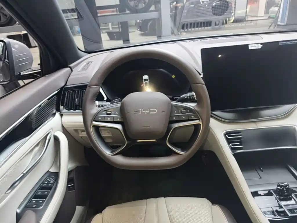 BYD PLUS New Energy — миниатюра 11