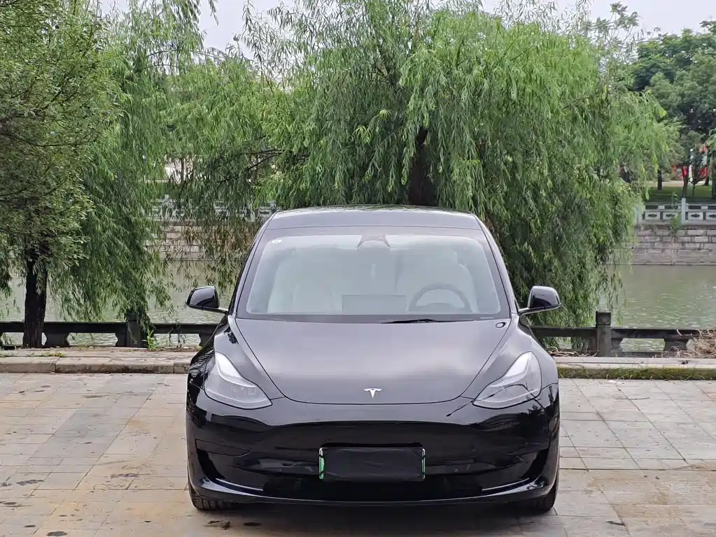 Tesla Model 3 — миниатюра 2