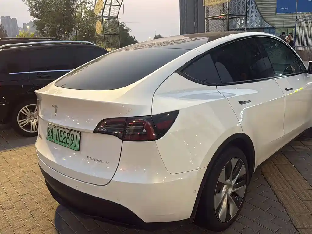 Tesla Model Y — миниатюра 5