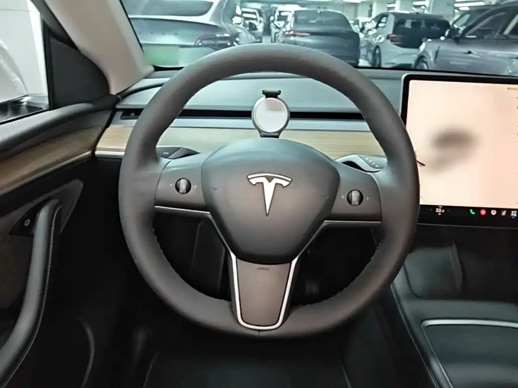 Tesla Model Y — миниатюра 11