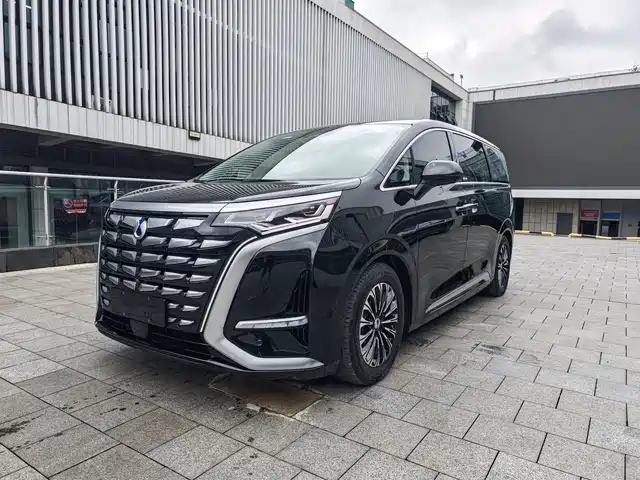2024 Denza D9