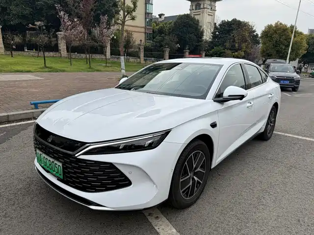 BYD QIN L 2025