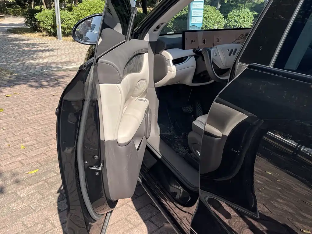 ZHIJI AUTOMOBILE ZHIJI LS6