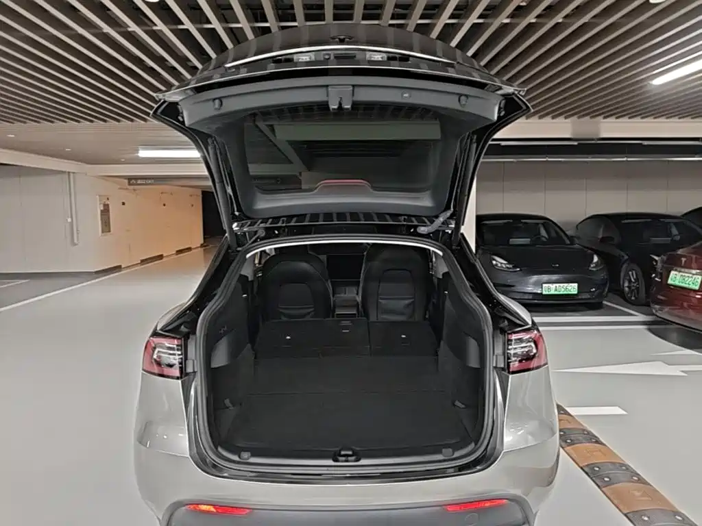 Tesla Model Y — миниатюра 19