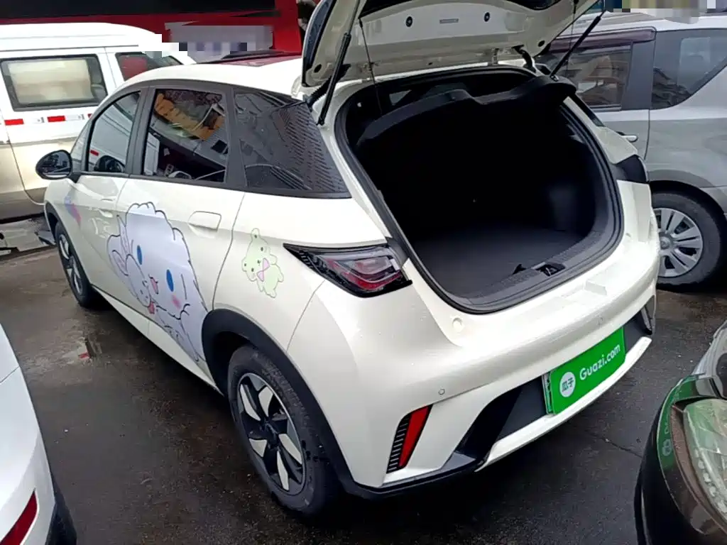 BYD Dolphin — миниатюра 5