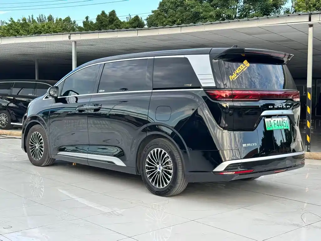Denza Denza D9 — миниатюра 18