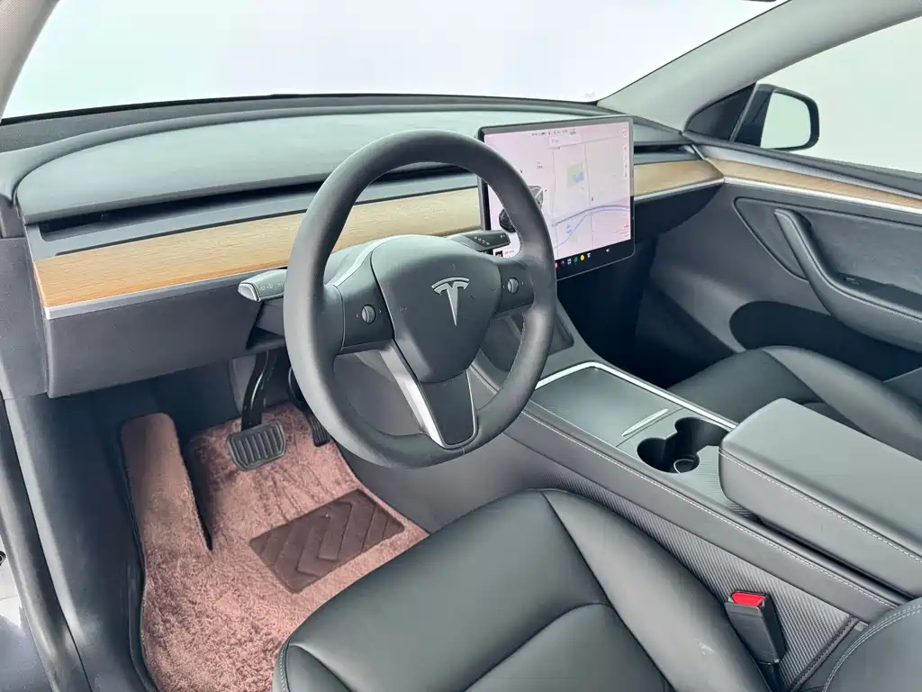 Tesla Model Y — миниатюра 5