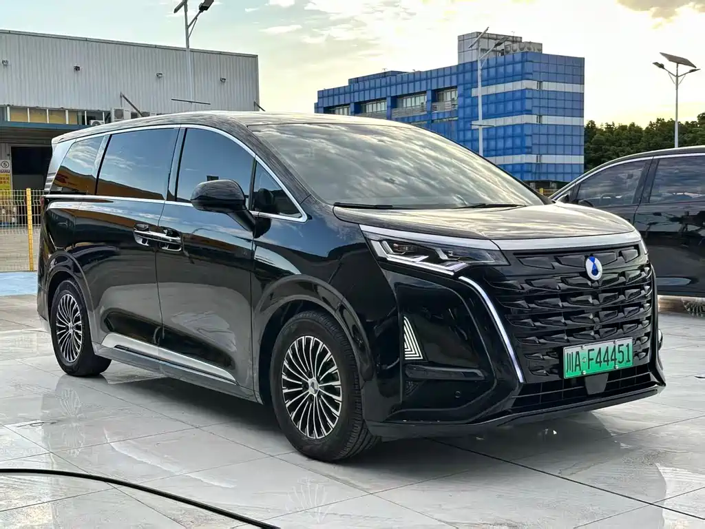 Denza Denza D9 — миниатюра 3