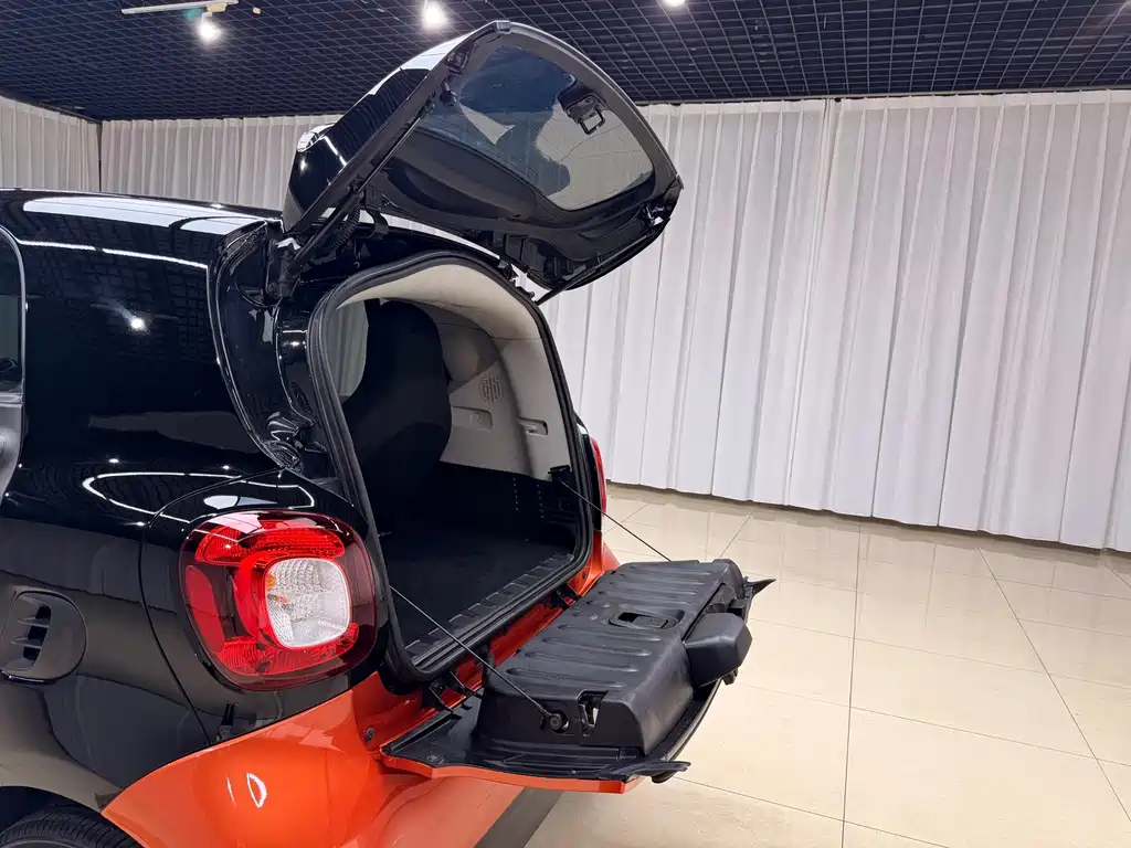 smart Smart Fortwo — миниатюра 11