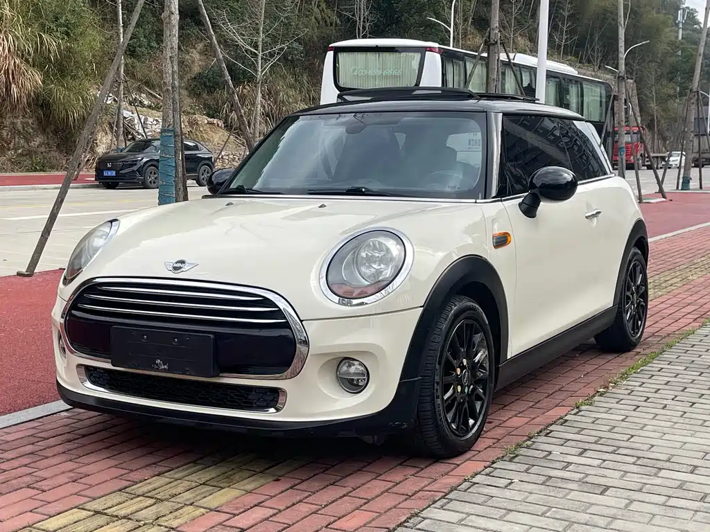 Mini Mini 2016